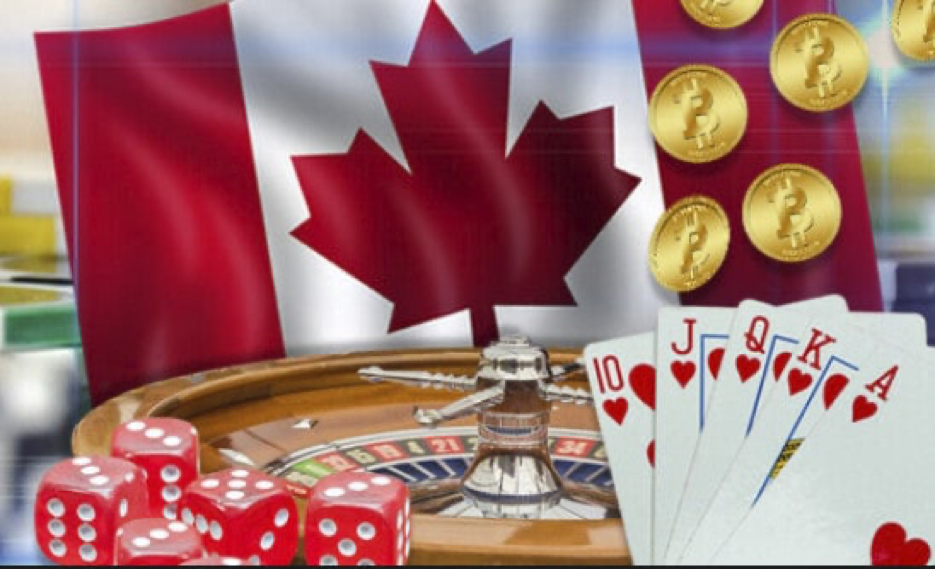 加拿大在线赌场：真钱与乐趣的结合